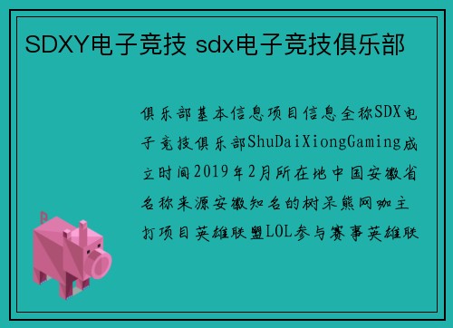 SDXY电子竞技 sdx电子竞技俱乐部